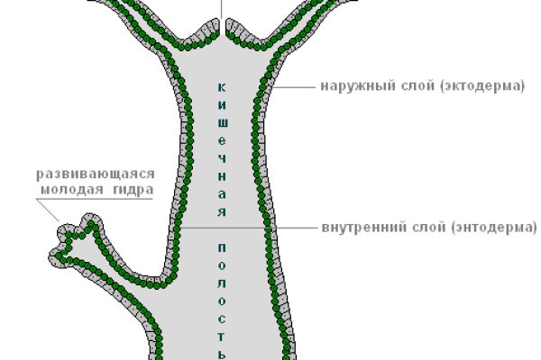 Рабочие ссылки на кракен 2025