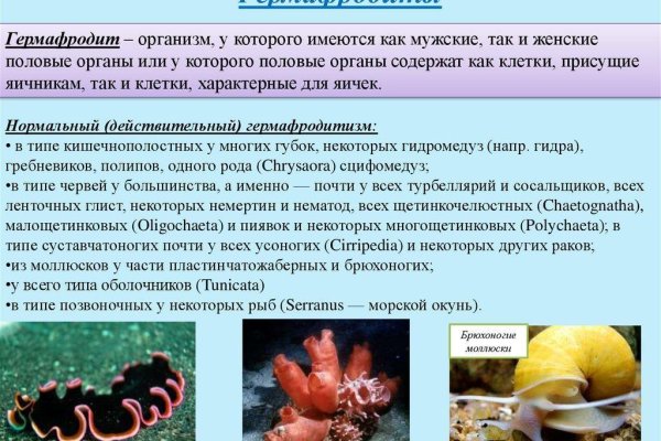 Кракен сыл ссылка