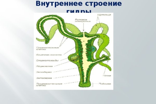 Вход в кракен супернет