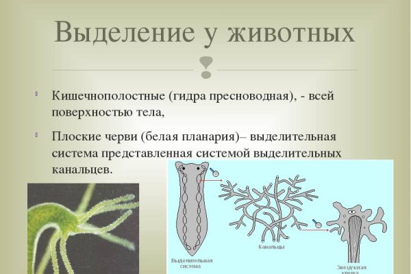 Кракен маркет свежие ссылки