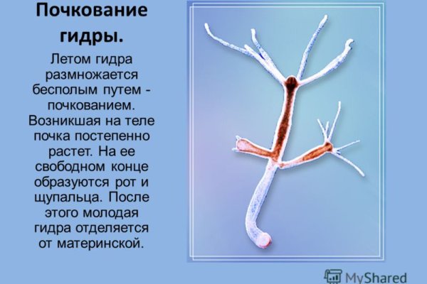 Кракен супернет зеркало