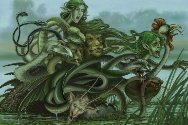 Hydra kraken