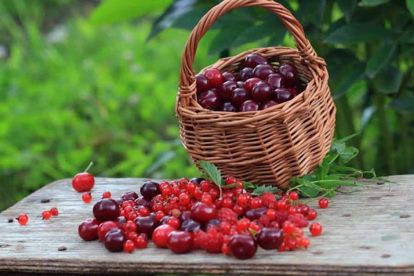 Супернет площадки