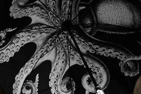 Kraken20at