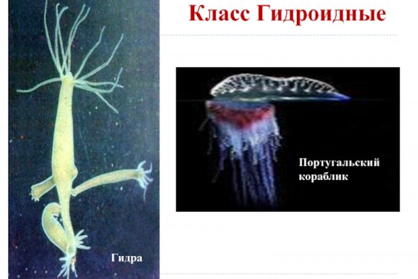 Кракен торговая площадка супернет