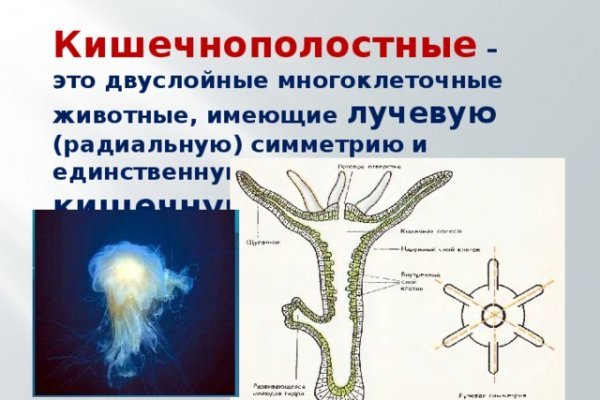 Кракен оригинальные ссылка в тор
