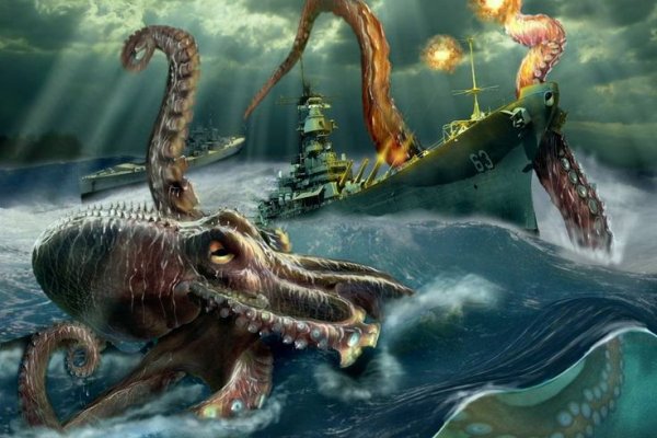 Kraken whitenet store
