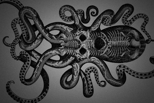 Kraken 24 at