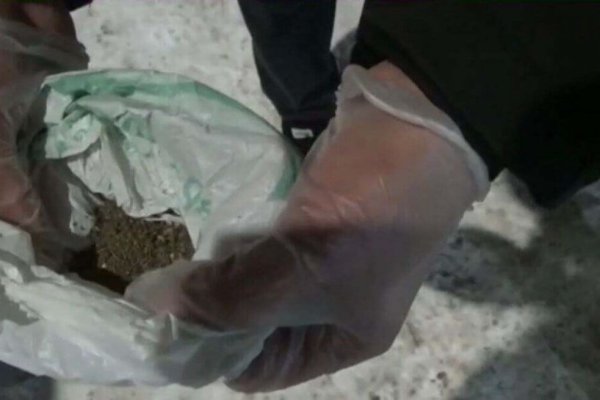 Ссылка на кракен на сегодня