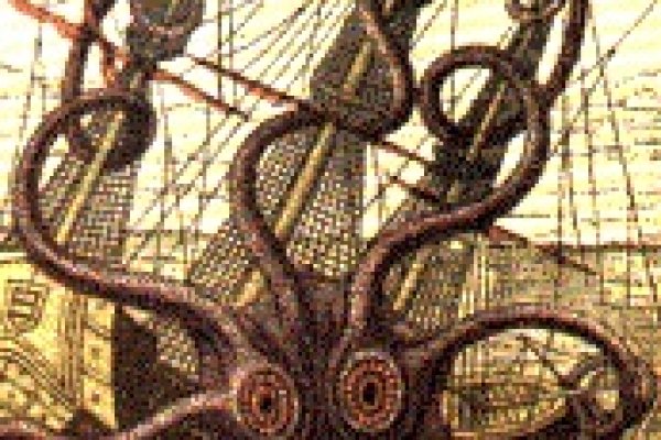 Kraken17 at