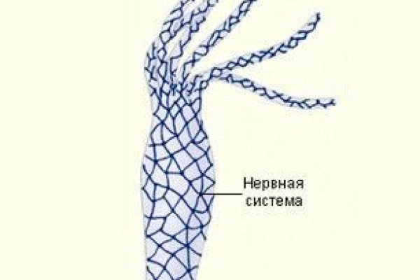 Kraken супернет рынок