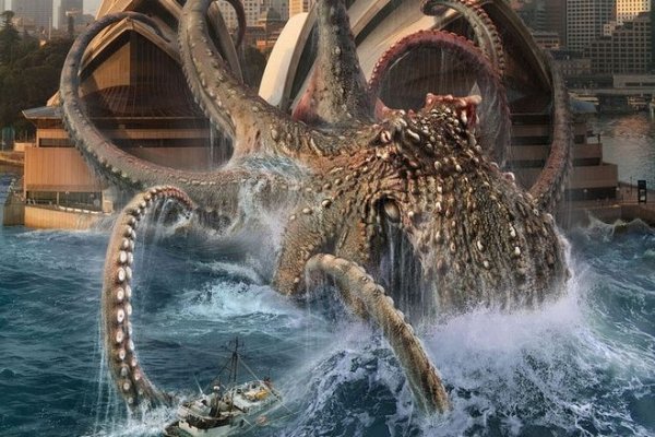 Kraken whitenet market