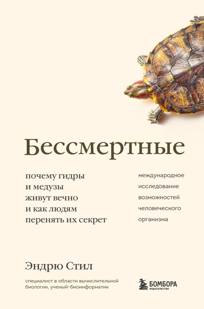 Ссылка на кракен маркет