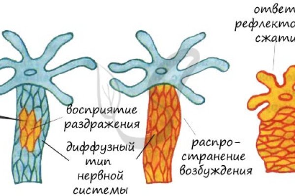 Kra34 at