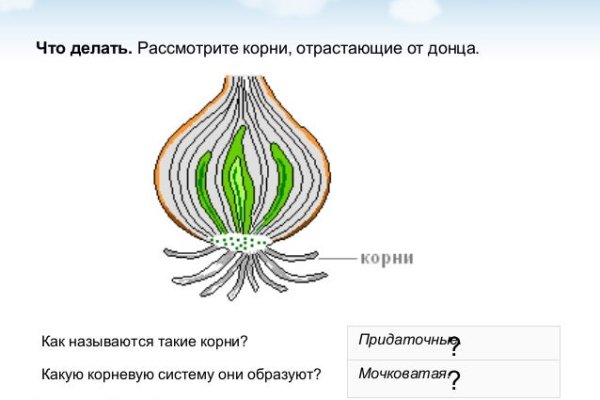 Kraken маркетплейс официальный