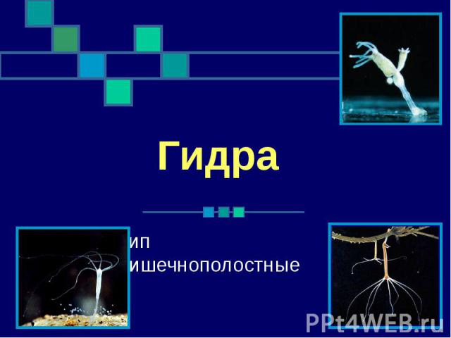 Кракен вход ссылка